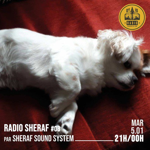 #03 Sheraf Sound System invite : Michel de Trentemoult & Frédéric Le Faune  - 05/01/21