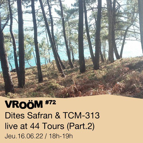 #72 Dites Safran & TCM-313 live at 44 Tours (Part.2)  - 16/06/2022